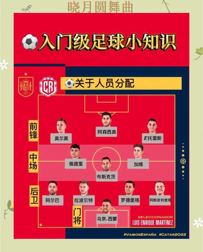 世界杯买球怎么选更稳详细解析