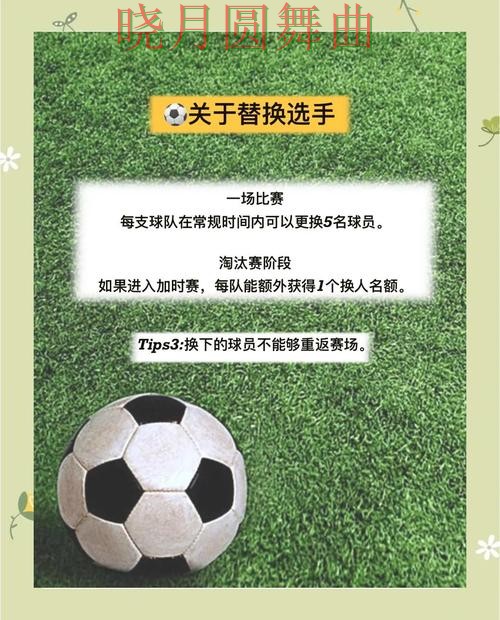 世界杯买球网站新手入门规则解析，详细教程整理